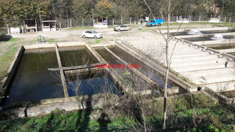 فروش پرورش ماهی سردآبی در گیلان0