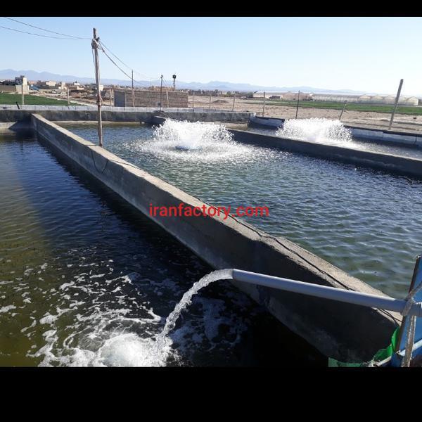 فروش استخر پرورش ماهی در ورزنه1