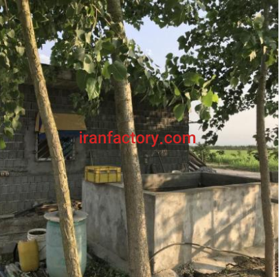 فروش یا معاوضه11000متر پرورش ماهی و باغ مرکبات در جویبار2