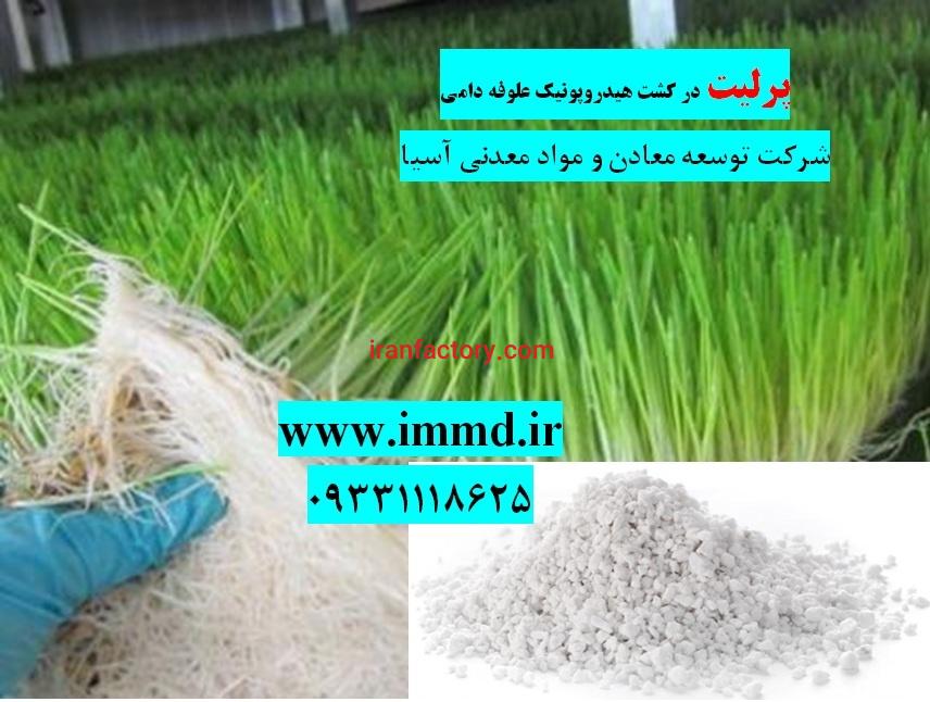 فروش پرلیت در کشت هیدروپونیک علوفه دامی0
