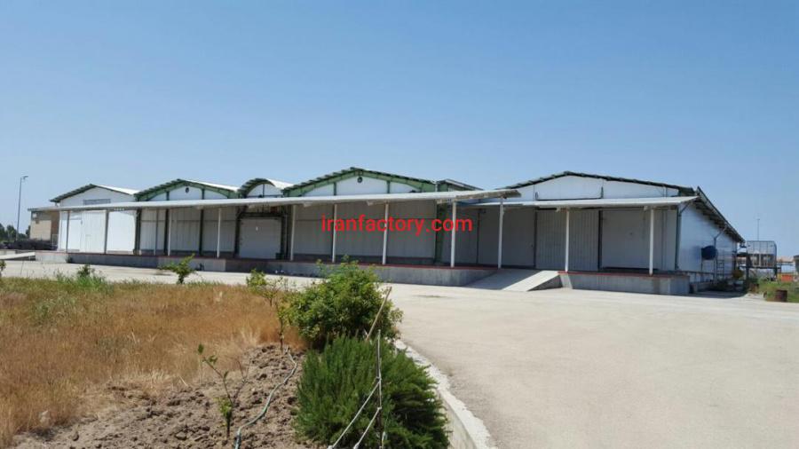 سردخانه و سورتینگ2