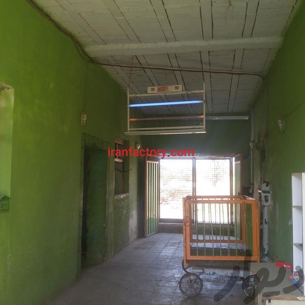 فروش دامداری بروز قزوین6