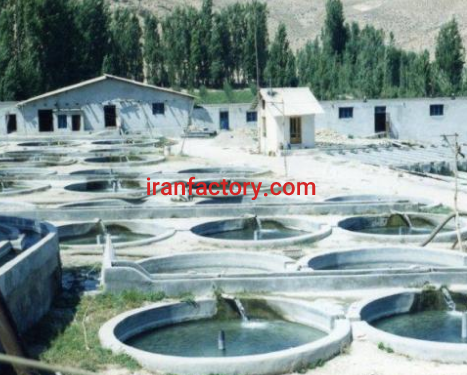 فروش دو هکتار مزرعه پرورش ماهی در فیروزکوه2