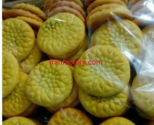 تولید کلوچه کرمانی0