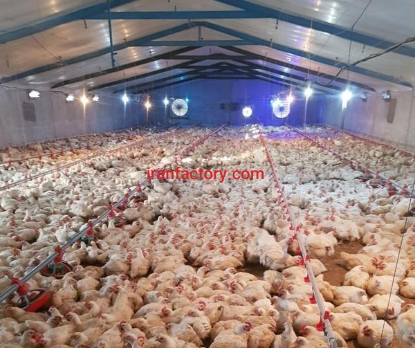 فروش مرغداری همراه ویلا و باغ با تمامی امکانات تهران1