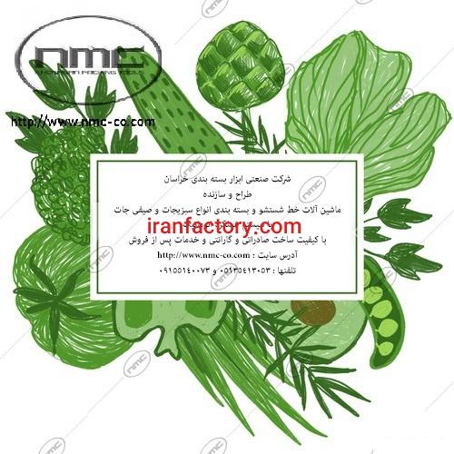 دستگاه شسشتشو اتوماتیک صیفی جات و میوه جات4