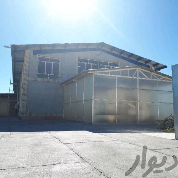 فروش کارخانه لبنیات فعال در سیستان و بلوچستان1