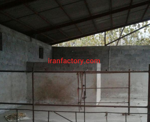 فروش 1000دامداری در رشت2