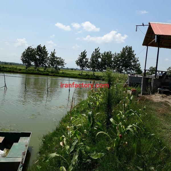 فروش استخر پرورش ماهی در رشت0