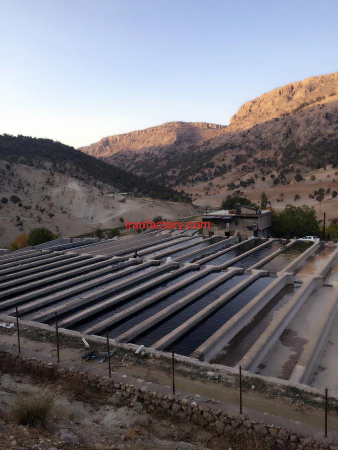 فروش پروش ماهی کهکیلویه و بویراحمد1
