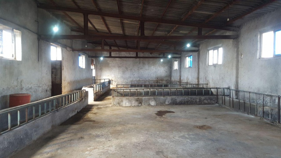 فروش گاوداری و یا جای مناسب برای کارخانه در مراغه3