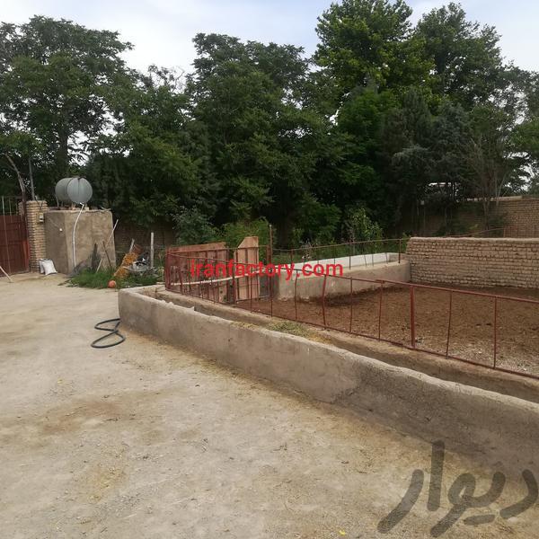 فروش دامداری گوشتی ورامین1