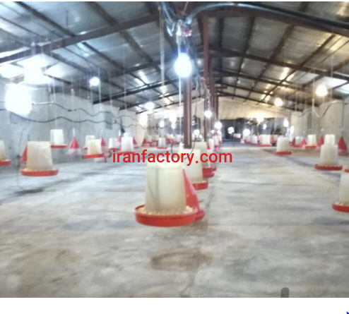 فروش 7000 متر مرغداری در شهر بابک کرمان0