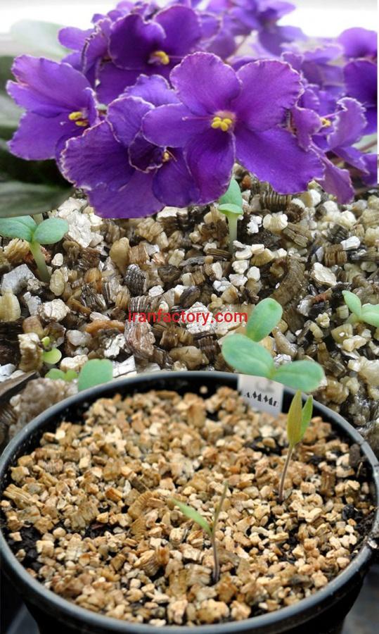 فروش ویژه ورمیکولیت شرکت توسعه معادن و مواد معدنی آسیا0