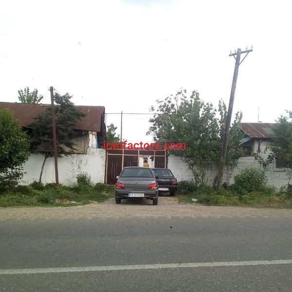 مرغداری فعال در صومعه سرا6