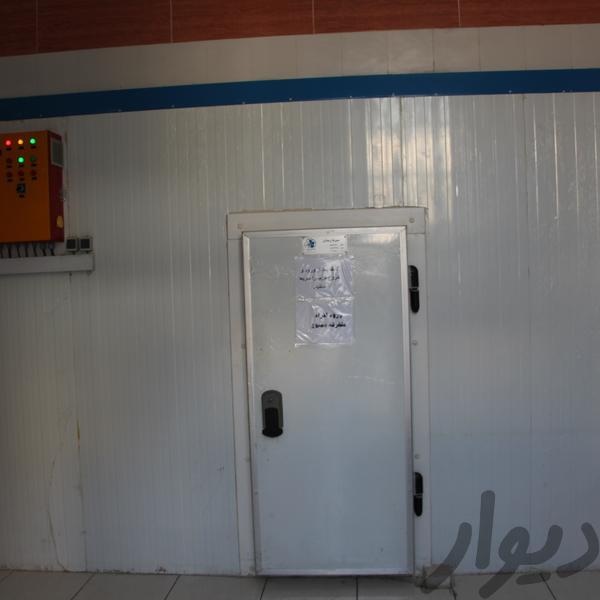 اجاره سردخانه ۳۰ تنی در تهران0