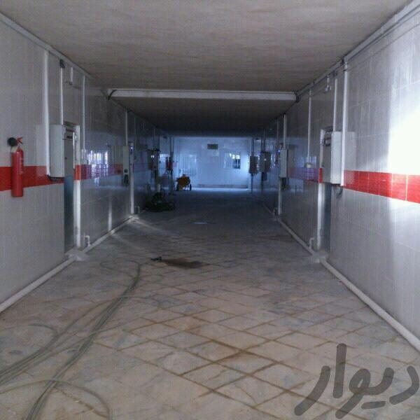 فروش کارخانه تولید قارچ در مشهد4
