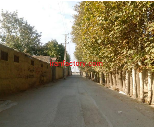 فروش 20000 متر  مجموعه صنعتی وکشاورزی در کرج2