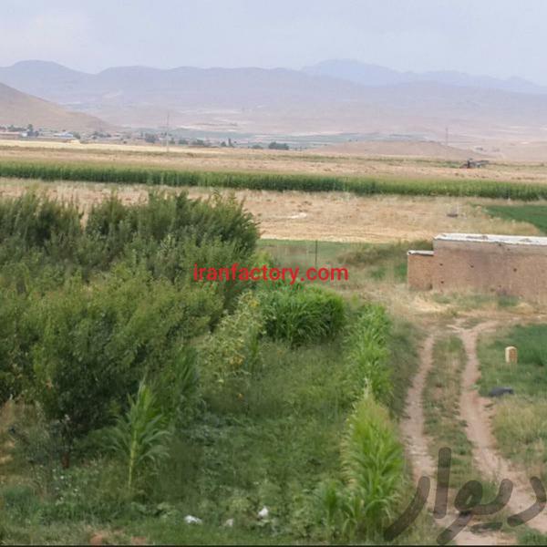 فروش زمین کشاورزی وباغ در اصفهان فریدونشهر1