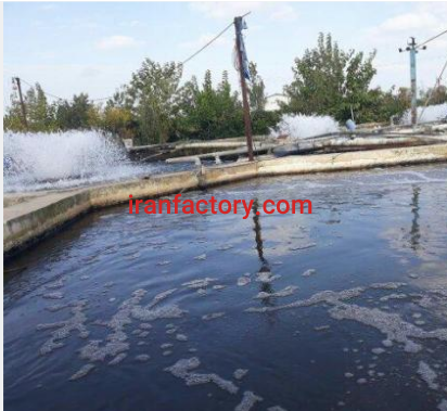 استخر پرورش ماهیِ سردابی فروشی و معاوضه در ساری4