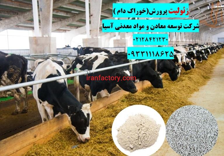 فروش زئولیت در خوراک دام و طیور0
