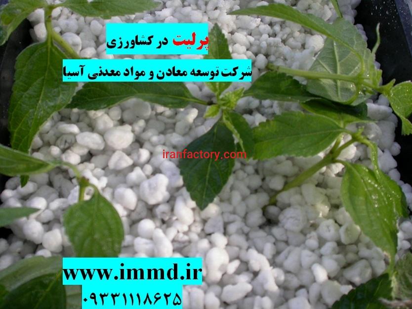 فروش پرلیت در کشاورزی0