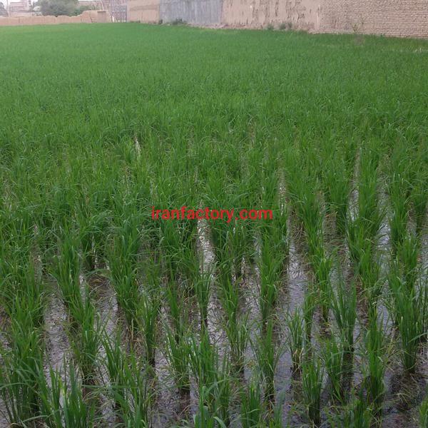 فروش زمین 1000 متری در اصفهان0
