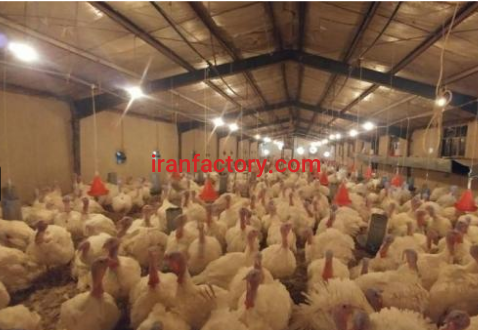 فروش 10200 متر  پرورش بوقلمون در تهران0