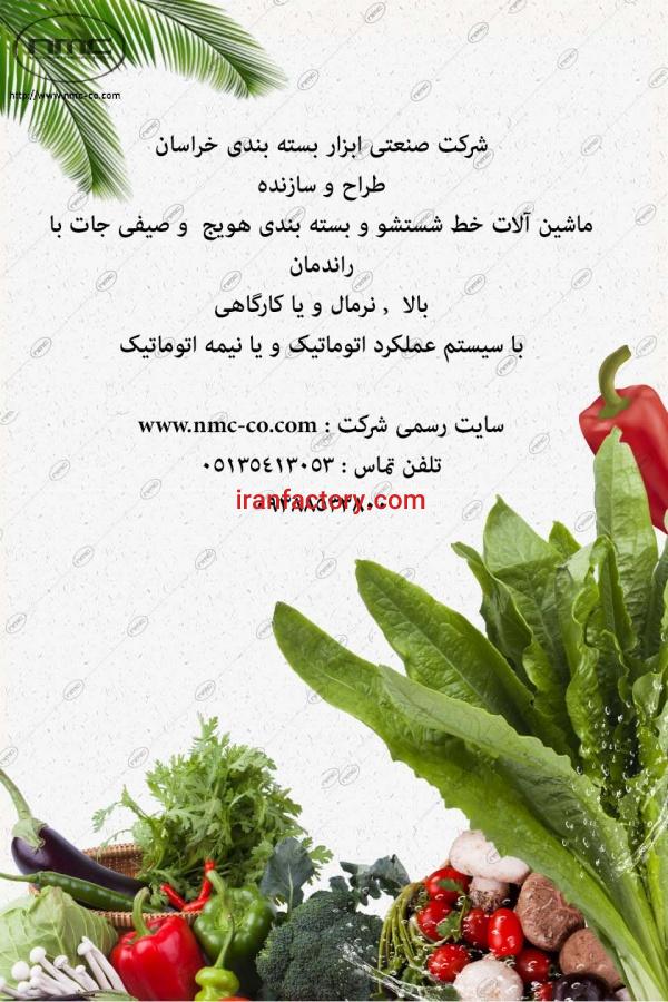 ماشین آلات خط اتومات بسته بندی سبزیجات سالاد فصل با دریافت حدود 300 کیلو در ساعت2