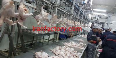 فروش کشتارگاه صنعتی طیور2