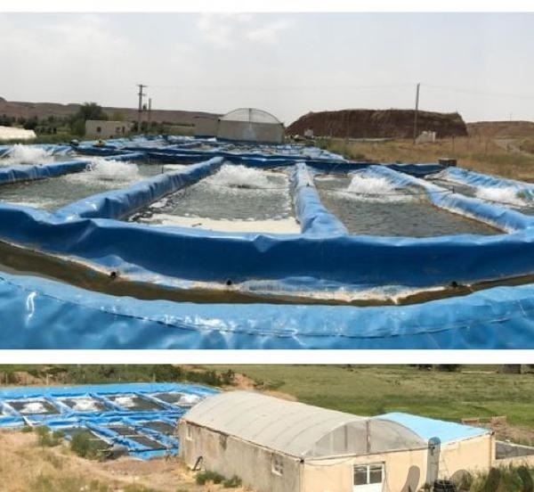 فروش پرورش ماهی و گلخانه در تهران1