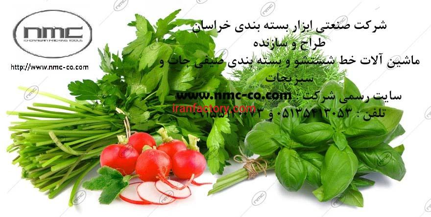 ماشین آلات خط اتومات بسته بندی سبزیجات سالاد فصل با دریافت حدود 300 کیلو در ساعت5
