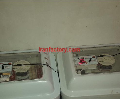 فروش دستگاه جوجه کشی در قرچک2