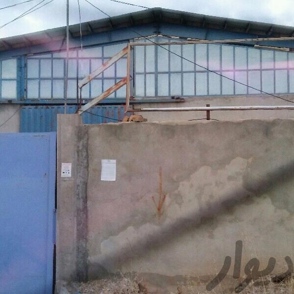 فروش کارگاه تولید قارچ اماده به کار در یاسوج0