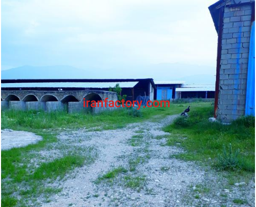 فروش یا معاوضه 5000 متر گاوداری در یاسوج1