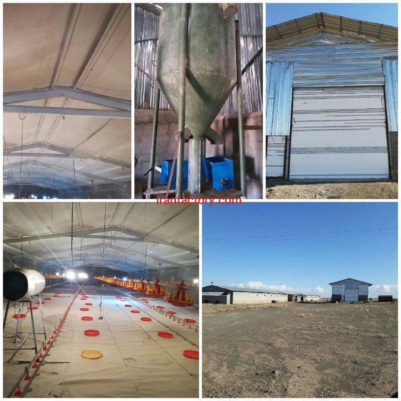 فروش مرغداری0