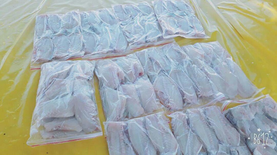 پخش عمده ماهی0