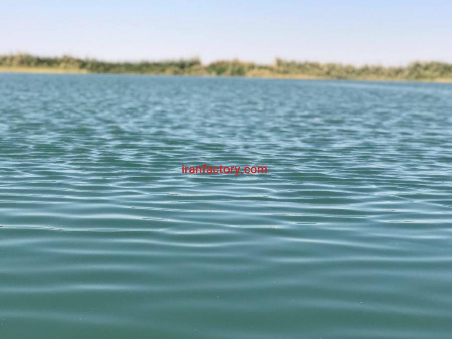 مزرعه پروش ماهیان خاویاری یزد1