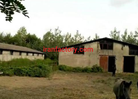 فروش 6700 متر دامداری در رضوانشهر0