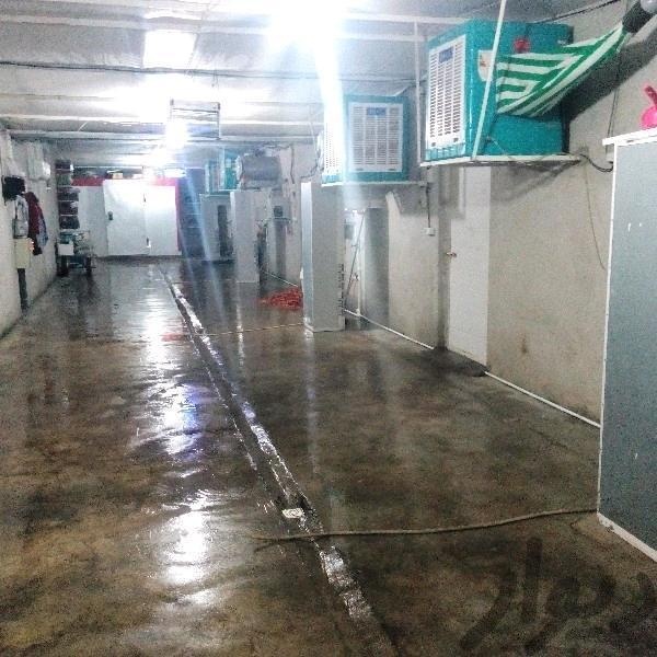 فروش مجهزترین کارخانه قارچ خوراکی در بوشهر2
