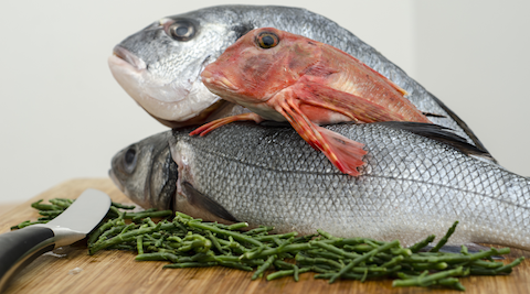 پخش ماهی سنگسر سفید صید روز0