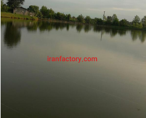 فروش 7هکتار پرورش ماهی در رشت3