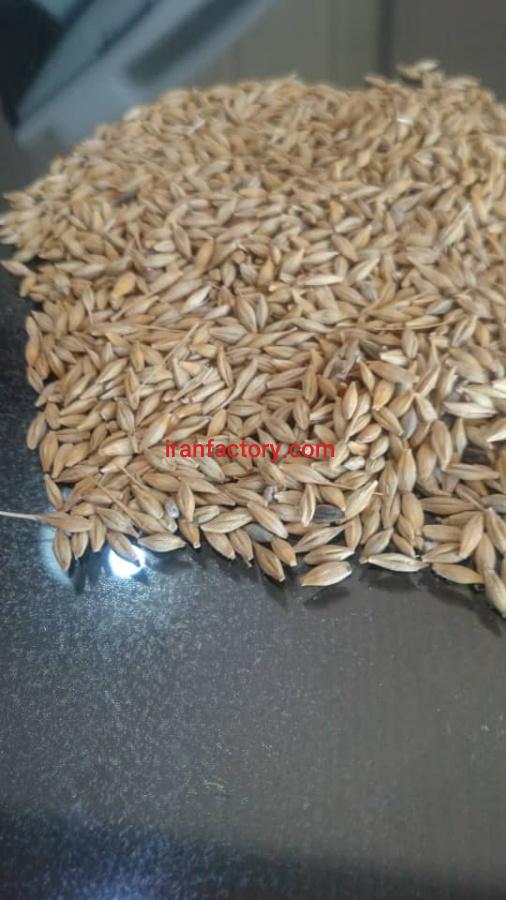 جو روسیه و آذربایجان0