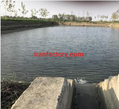 فروش یا معاوضه11000متر پرورش ماهی و باغ مرکبات در جویبار5