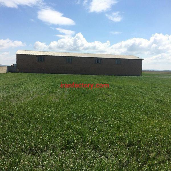 فروش مرغداری 30هزار قطعه تمام اتوماتیک در نقده1