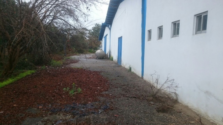 زمین و سوله فروشی کارخانه در مازندران5