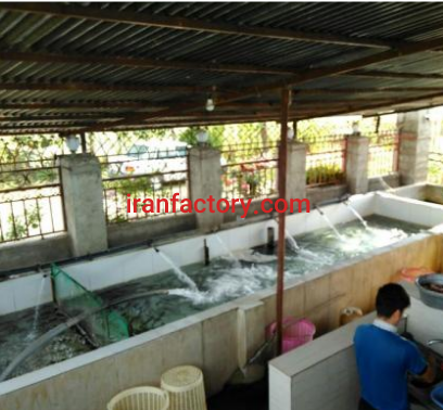 فروش 480 متر جایگاه استخر ماهی مختص قزل آلا براری در ساری2