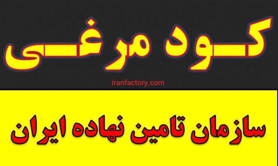 کود مرغی.پلت مرغی.کود حیوانی.کود شیمیایی0