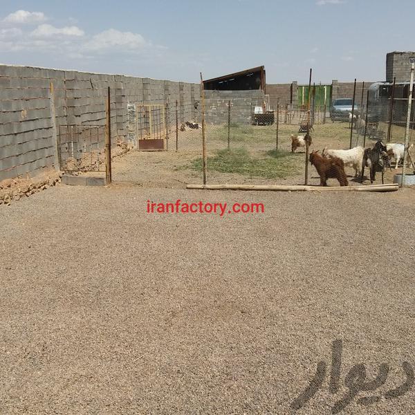 فروش دامداری در کمشچه اصفهان1