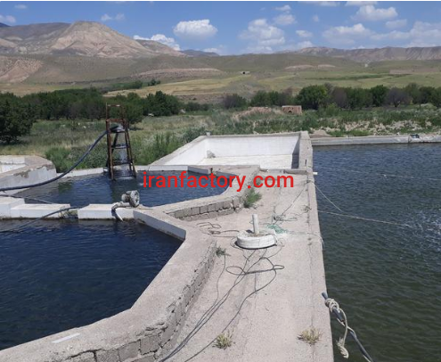 فروش 20000 متر پرورش ماهی فعال در ماهنشان زنجان2